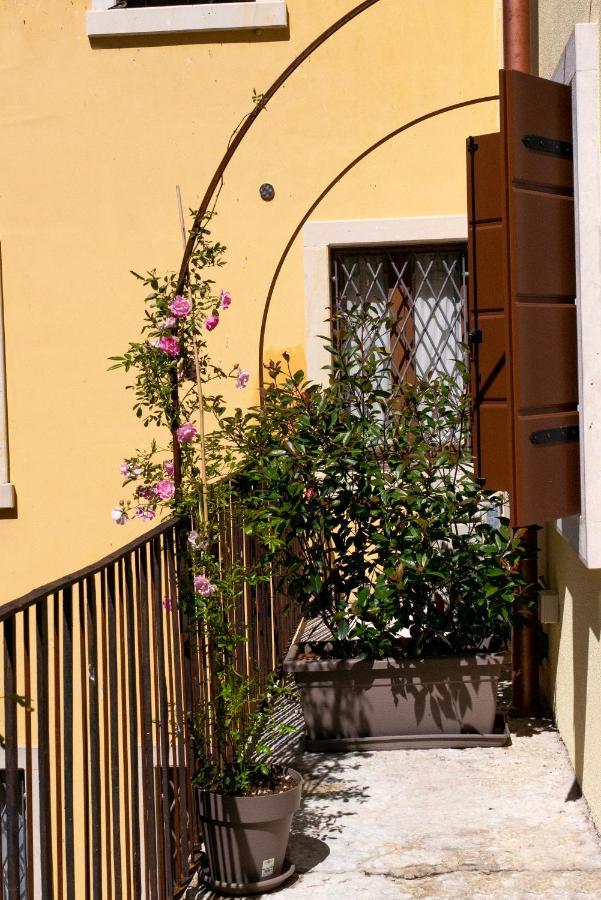 Regi Apartments Pacengo Di Lazise Εξωτερικό φωτογραφία